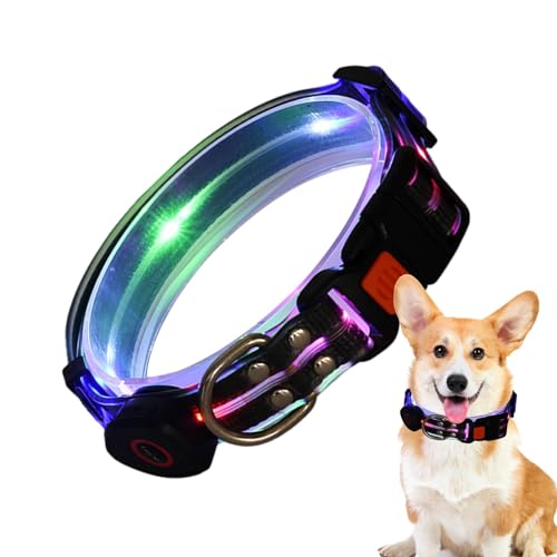 Collar brillante para perro, recargable, impermeable, con luz LED, ajustable, para mascotas, resistente a la intemperie, luces recargables por USB, para caminar, al aire libre