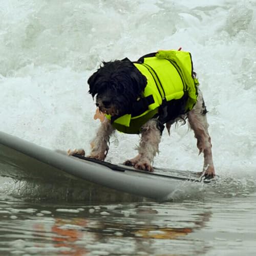 Chaleco Salvavidas para Perros Natación - Chaleco Reflectante para Cachorros con Flotabilidad | Ajustable para Razas Medianas y Grandes Uso En Playa Piscina Kayak Y Deportes Acuáticos
