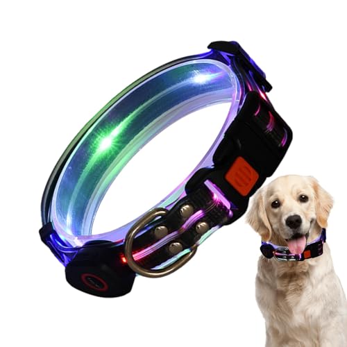 Collar brillante para perro, recargable, impermeable, con luz LED, ajustable, para mascotas, resistente a la intemperie, luces recargables por USB, para caminar, al aire libre