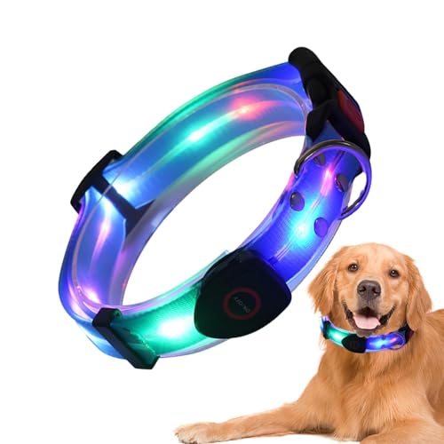 Collar de perro con luz nocturna, collar ajustable iluminado para mascotas | Luces de perro resistentes a la intemperie para caminar por la noche, hacen que tu perro sea visible y seguro