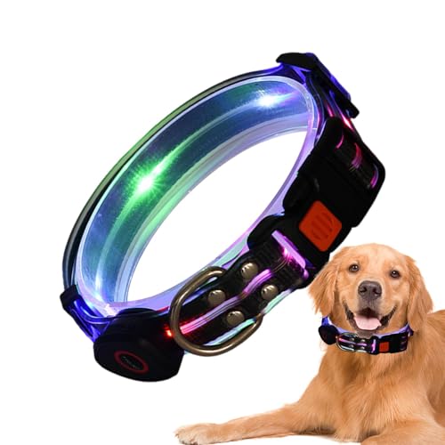 Collar brillante para perro, recargable, impermeable, con luz LED, ajustable, para mascotas, resistente a la intemperie, luces recargables por USB, para caminar, al aire libre