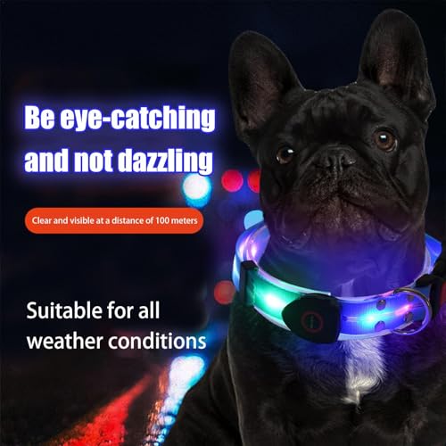 Collar de perro que brilla la oscuridad | Collar ajustable iluminado para mascotas - Luces de perro resistentes a la intemperie para caminar por la noche, hacen que tu perro sea visible y seguro