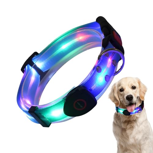Collar de perro con luz nocturna, collar ajustable iluminado para mascotas | Luces de perro resistentes a la intemperie para caminar por la noche, hacen que tu perro sea visible y seguro