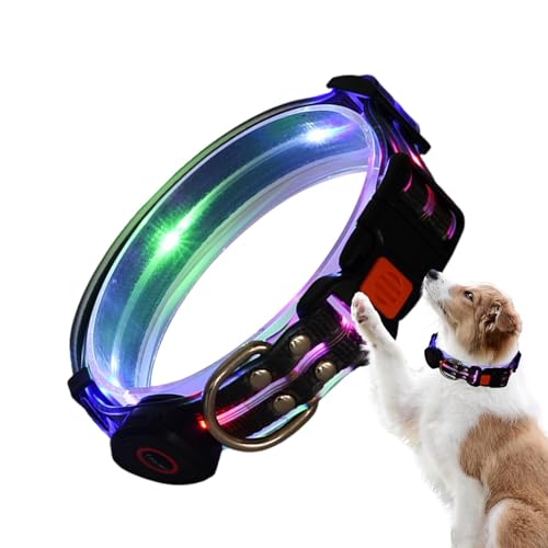 Collar brillante para perro, recargable, impermeable, con luz LED, ajustable, para mascotas, resistente a la intemperie, luces recargables por USB, para caminar, al aire libre