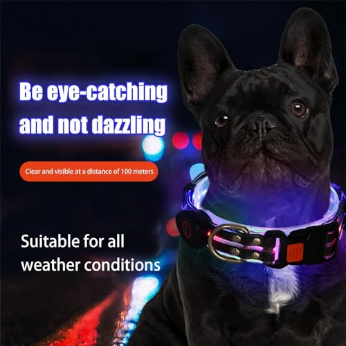Collar brillante para perro, recargable, impermeable, con luz LED, ajustable, para mascotas, resistente a la intemperie, luces recargables por USB, para caminar, al aire libre