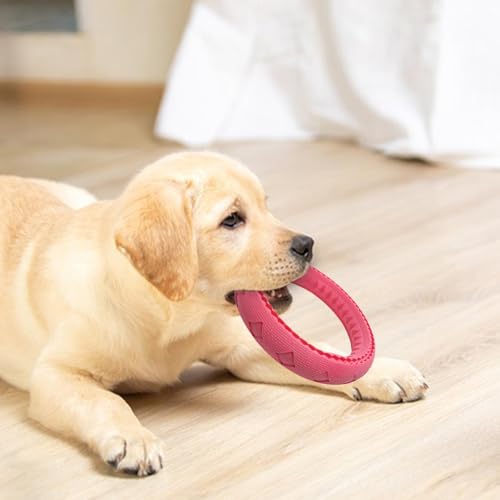 Anillo De Masticación De Perro - Juguete De Perro De Goma Masticación - Masticar El Mástil, Caza A La Persecución, Suministros De Juguetes Para Mascotas Interactivos, D