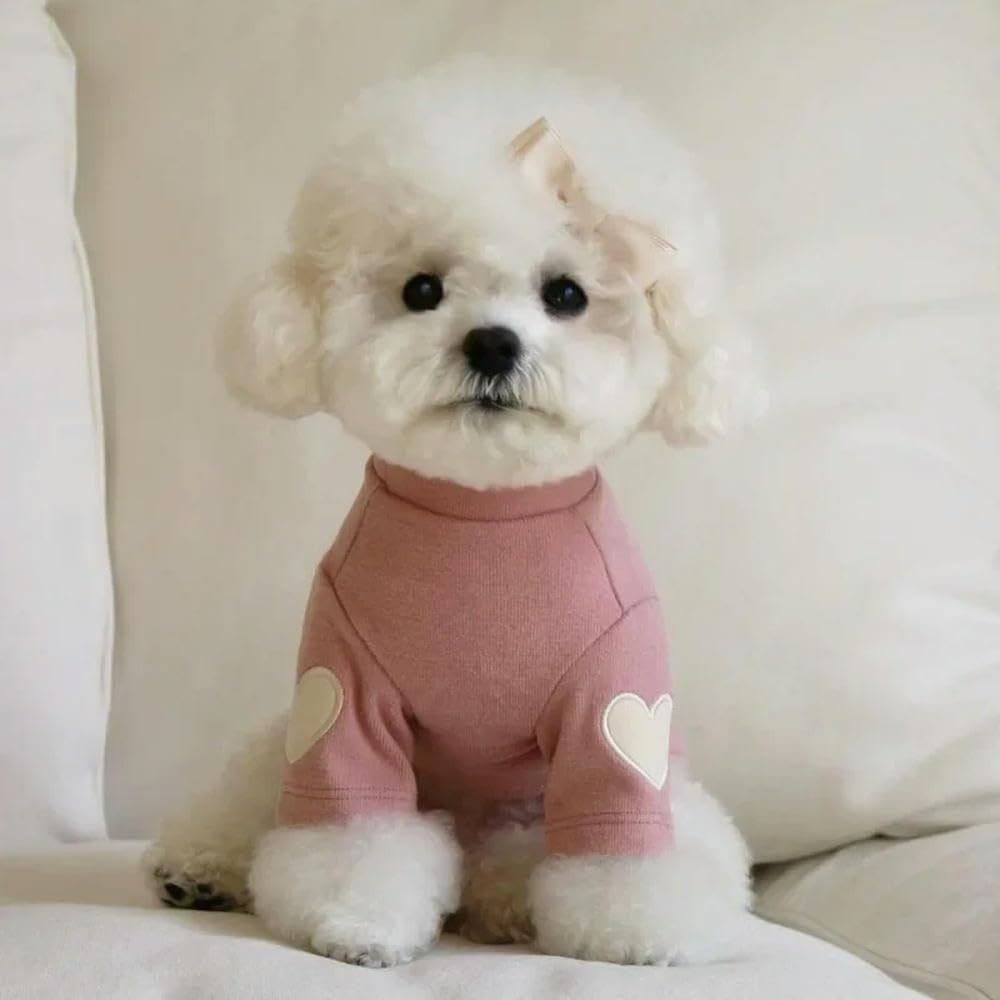 Abrigo Ropa cálida de Invierno para Perros y Mascotas, Camiseta básica, Adorable Sudadera con Capucha de Oso de Peluche Yorkshire, Ropa cálida para Gatos y Mascotas, Ropa para Cachorros
