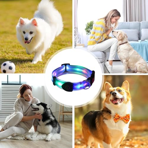 Collar de perro con luz nocturna, collar ajustable iluminado para mascotas | Luces de perro resistentes a la intemperie para caminar por la noche, hacen que tu perro sea visible y seguro