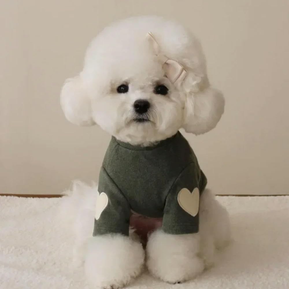 Abrigo Ropa cálida de Invierno para Perros y Mascotas, Camiseta básica, Adorable Sudadera con Capucha de Oso de Peluche Yorkshire, Ropa cálida para Gatos y Mascotas, Ropa para Cachorros