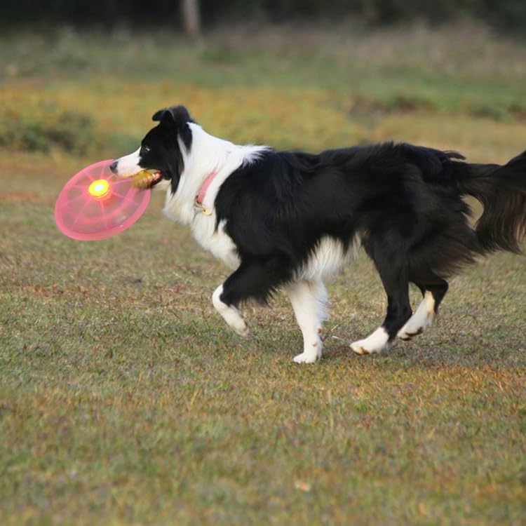 Frisbee Perro, Perros interactivos Frisbee, Juguete de Disco Volador para Perro, Frisbee para Mascotas, Frisbee Perro Goma, Frisbee Cachorro para Lanzar, Entrenar, Jugar, Atrapar