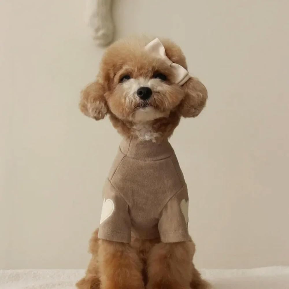 Abrigo Ropa cálida de Invierno para Perros y Mascotas, Camiseta básica, Adorable Sudadera con Capucha de Oso de Peluche Yorkshire, Ropa cálida para Gatos y Mascotas, Ropa para Cachorros