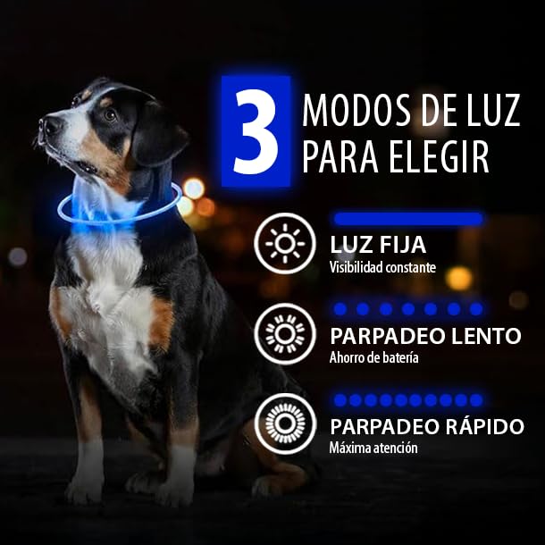 Collar LED para Perros en Azul - Collar de Seguridad para Perros y Gatos con Luz Intermitente Recargable por USB - Tamaño Pequeño, Mediano y Grande - Brilla en la Oscuridad para Mayor Seguridad