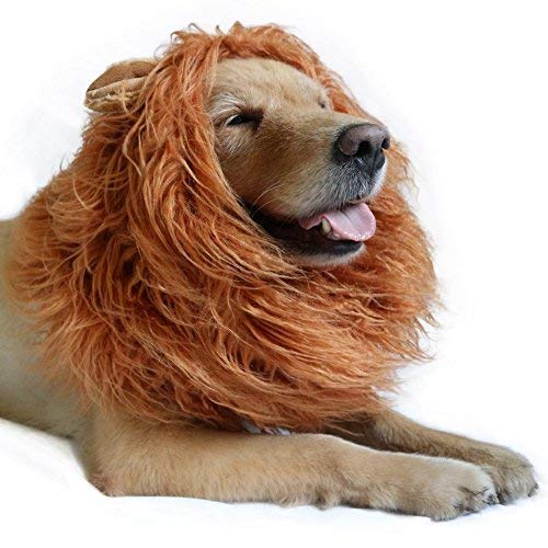 Disfraz de Perro Peluca de Leones de Perro con Orejas Traje de Mascota Ajustable Vestido de Perro por Menos de 74 cm