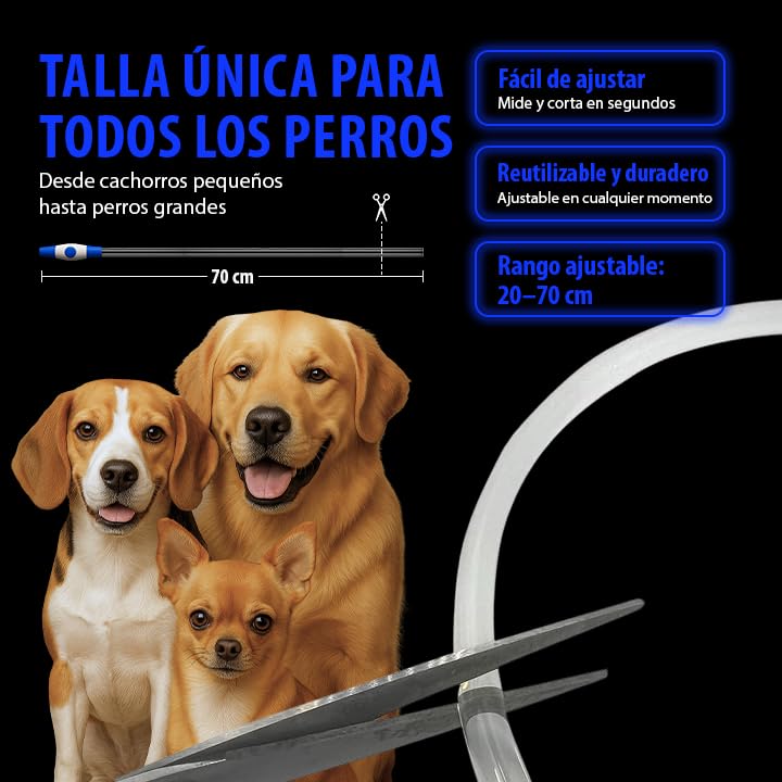 Collar LED para Perros en Azul - Collar de Seguridad para Perros y Gatos con Luz Intermitente Recargable por USB - Tamaño Pequeño, Mediano y Grande - Brilla en la Oscuridad para Mayor Seguridad