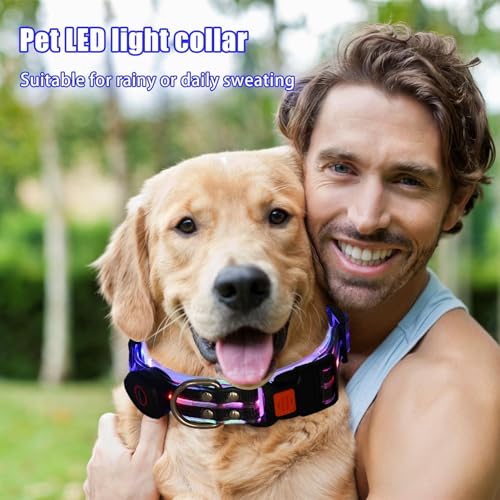 Collar brillante para perro, recargable, impermeable, con luz LED, ajustable, para mascotas, resistente a la intemperie, luces recargables por USB, para caminar, al aire libre