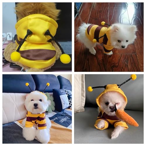 Disfraz de Abejorro para Perro Pequeño, Bee Dog Costume, Disfraces para Perros, Dog Bee Hoodies, para Perro, Halloween, Navidad, Fiestas, Juegos de rol, Multicolor