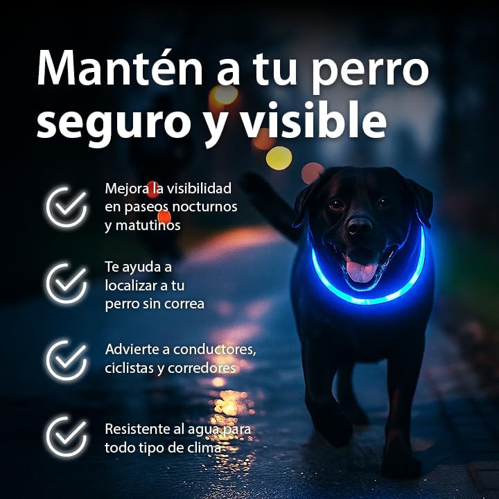 Collar LED para Perros en Azul - Collar de Seguridad para Perros y Gatos con Luz Intermitente Recargable por USB - Tamaño Pequeño, Mediano y Grande - Brilla en la Oscuridad para Mayor Seguridad