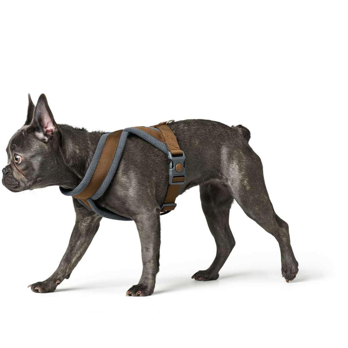 Arnés para Perro Hunter London Comfort 57-70 cm Marrón Talla M