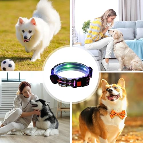 Collar brillante para perro, recargable, impermeable, con luz LED, ajustable, para mascotas, resistente a la intemperie, luces recargables por USB, para caminar, al aire libre
