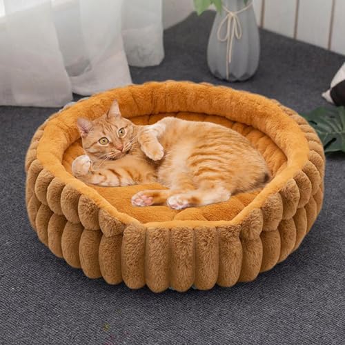 Generisch Cama pequeña para perros | Donut Cachorro Gatito Cama para gatos domésticos, almohada de felpa para perros pequeños y medianos Sala de estar Dormitorio Apartamento Casa Exterior Lavable a
