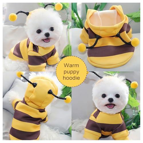 Disfraz de Abejorro para Perro Pequeño, Bee Dog Costume, Disfraces para Perros, Dog Bee Hoodies, para Perro, Halloween, Navidad, Fiestas, Juegos de rol, Multicolor