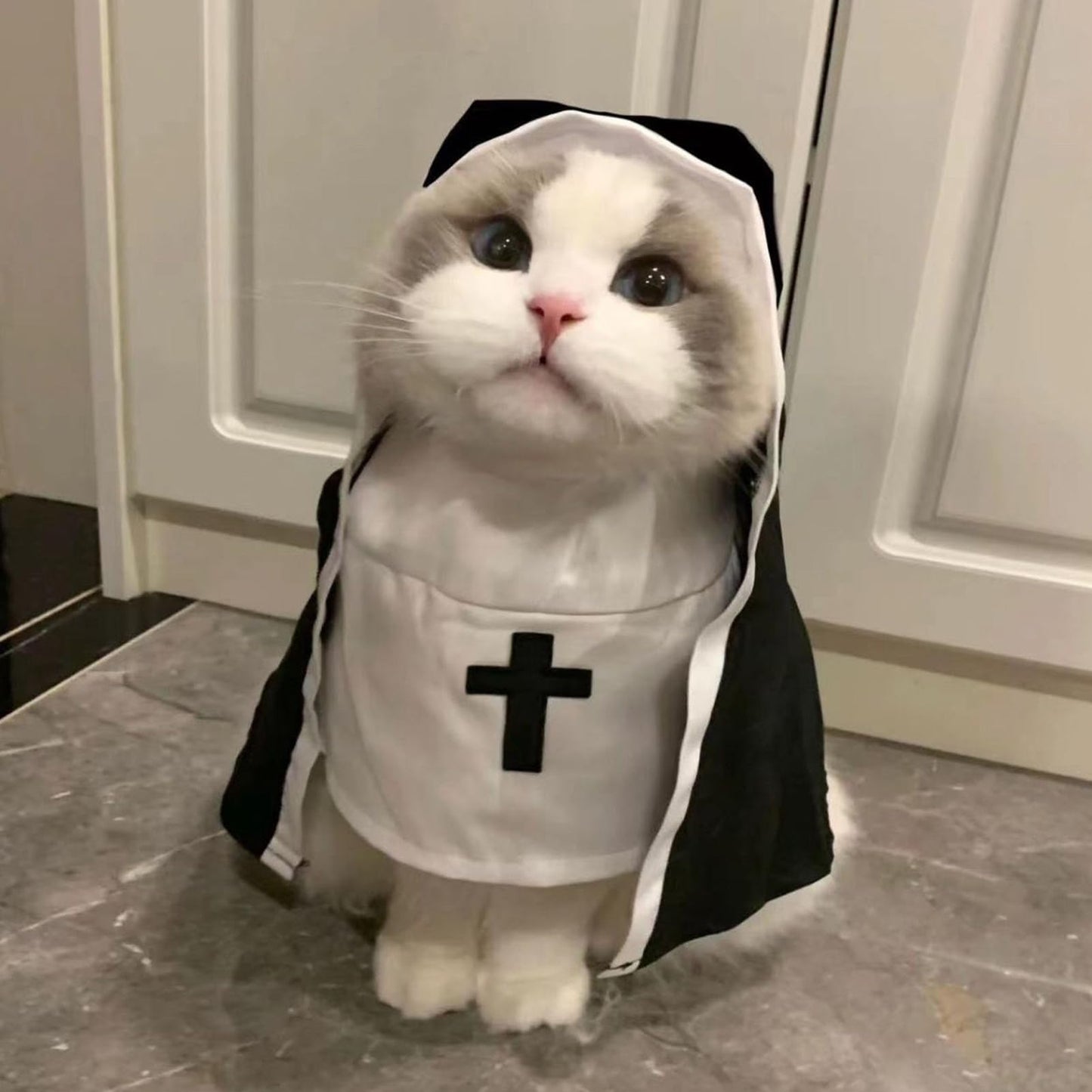 Disfraz De Monja para Perro Y Gato, Bonito Divertido Disfraz De Halloween para Mascotas, Traje De Manto Gato Transpirable Ligero, Capa Blanca Y Negra para Sesiones De Fotos, Fiesta De Halloween