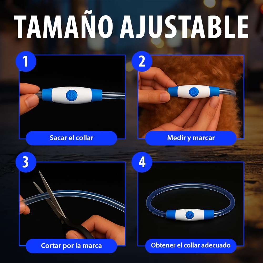 Collar LED para Perros en Azul - Collar de Seguridad para Perros y Gatos con Luz Intermitente Recargable por USB - Tamaño Pequeño, Mediano y Grande - Brilla en la Oscuridad para Mayor Seguridad
