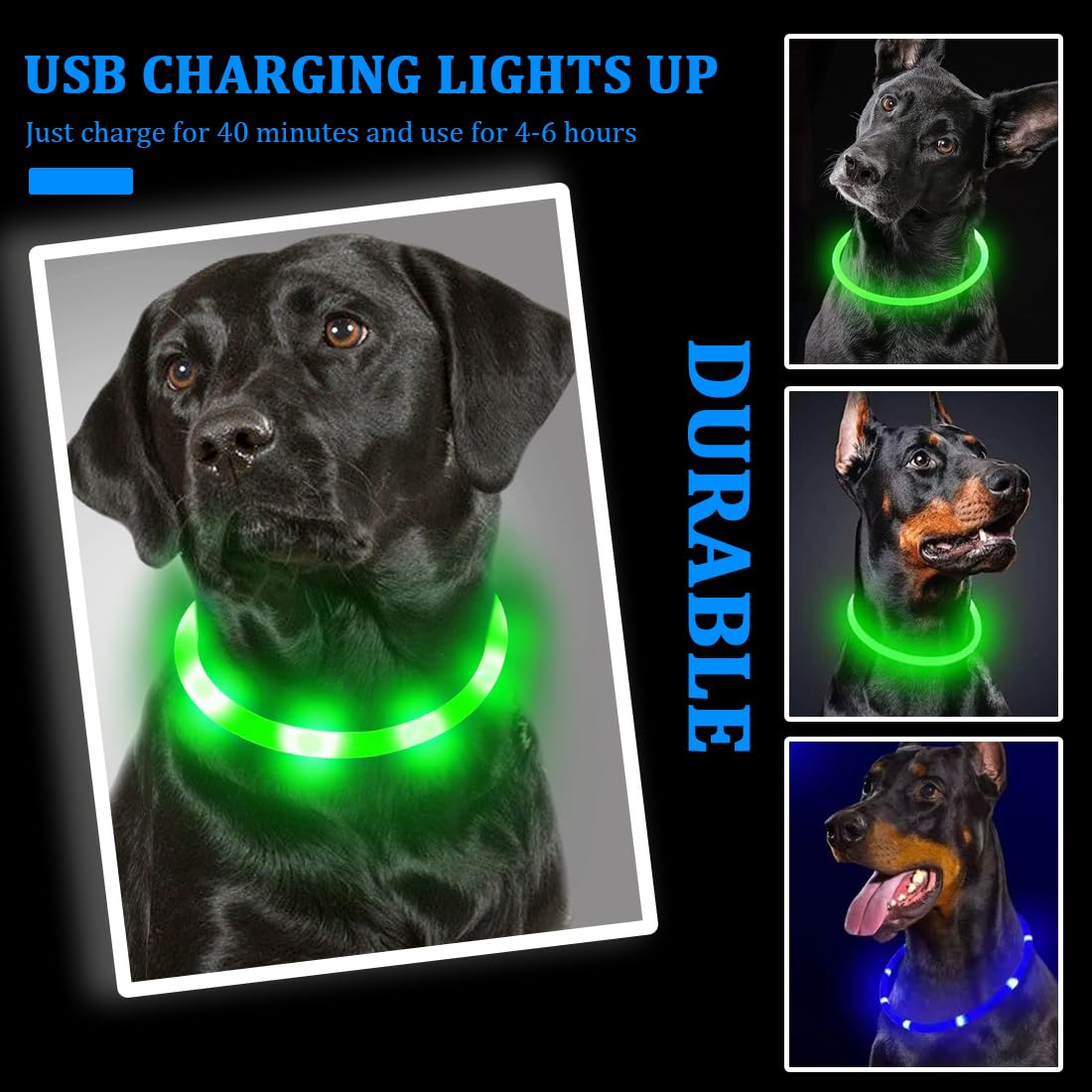 Collar Luminoso Perro,2 Piezas Collar LED Recargable por USB Tamaño Ajustable, Collar Impermeable de Seguridad, Reutilizable para Perros Pequeños Medianos Y Grandes (Verde + Azul)
