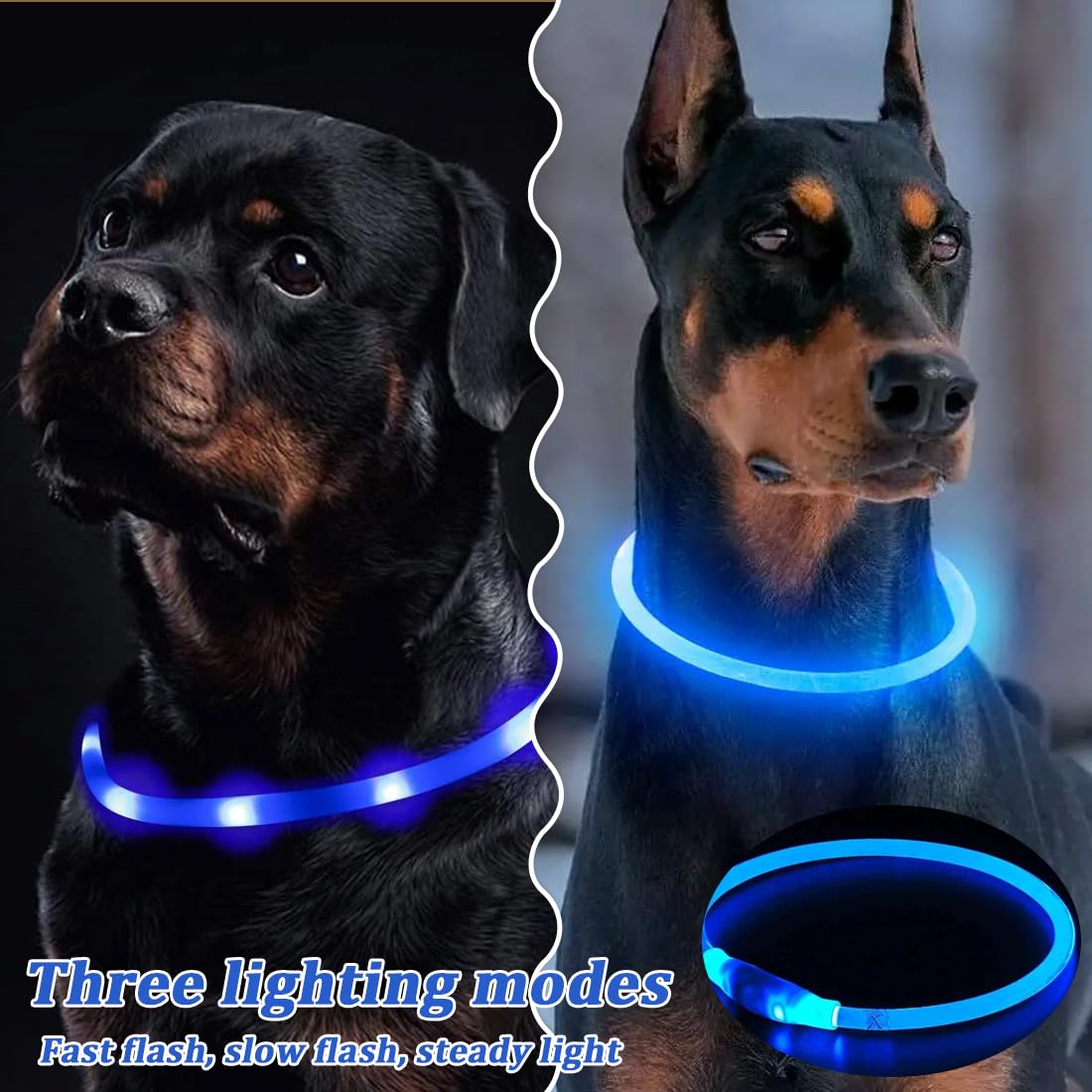 Collar Luminoso Perro,2 Piezas Collar LED Recargable por USB Tamaño Ajustable, Collar Impermeable de Seguridad, Reutilizable para Perros Pequeños Medianos Y Grandes (Verde + Azul)
