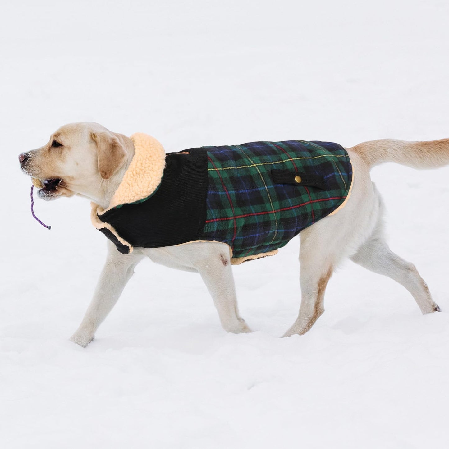 Abrigo para Perro Invierno - Chaleco Polar Grueso con Estampado Tartán, Ropa Cálida para Perros Pequeños/Medianos, Chaqueta Térmica Chihuahua o Teckel, Verde, XS
