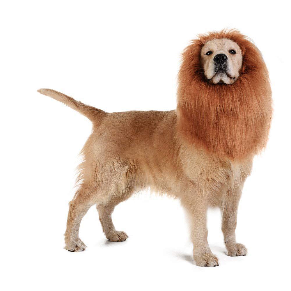 Disfraz de Perro Peluca de Leones de Perro con Orejas Traje de Mascota Ajustable Vestido de Perro por Menos de 74 cm