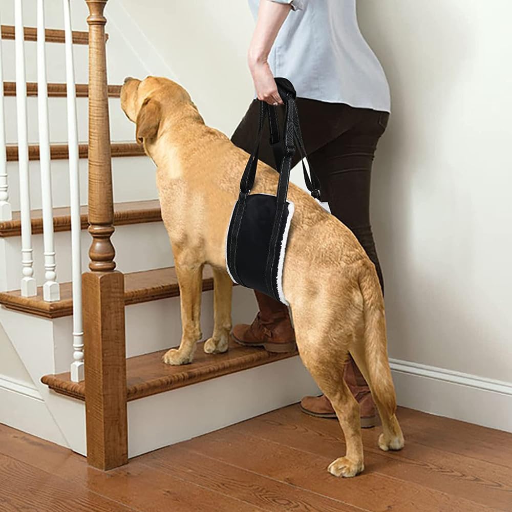 Arnes Perro Patas Traseras, Arnés para Perros Ajustable Esponjoso y Cómodo, el Cuerpo de la Cuerda para Escalar Rocas es Fuerte No es Fácil de Romper, Superficie Impermeable de Tela Oxford 600D