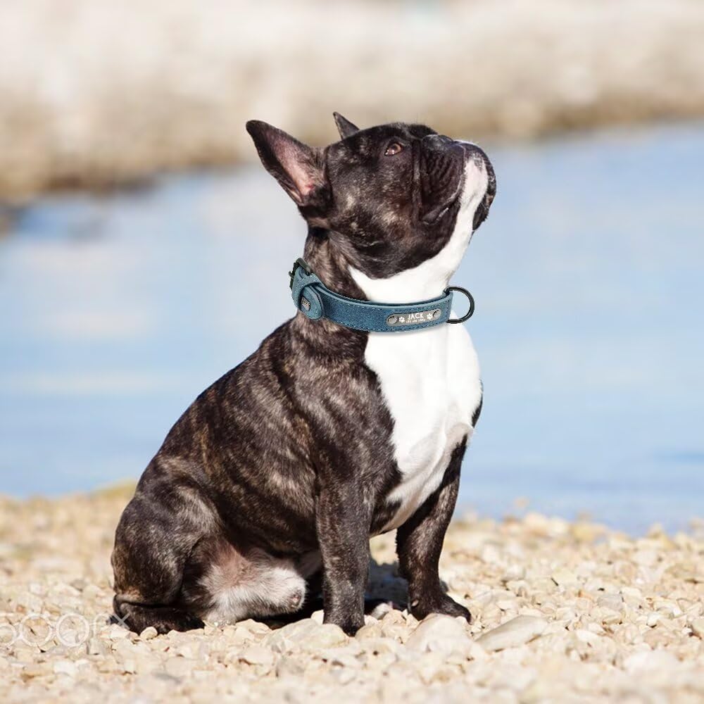 Collar de Piel Suave Acolchada Personalizable para Perro, Chapa de Nombre, Anilla en D, Collar Grabado para Perro, tamaños pequeño, Mediano y Grande