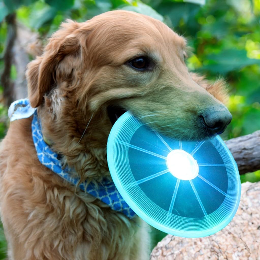 Frisbee Perro, Perros interactivos Frisbee, Juguete de Disco Volador para Perro, Frisbee para Mascotas, Frisbee Perro Goma, Frisbee Cachorro para Lanzar, Entrenar, Jugar, Atrapar