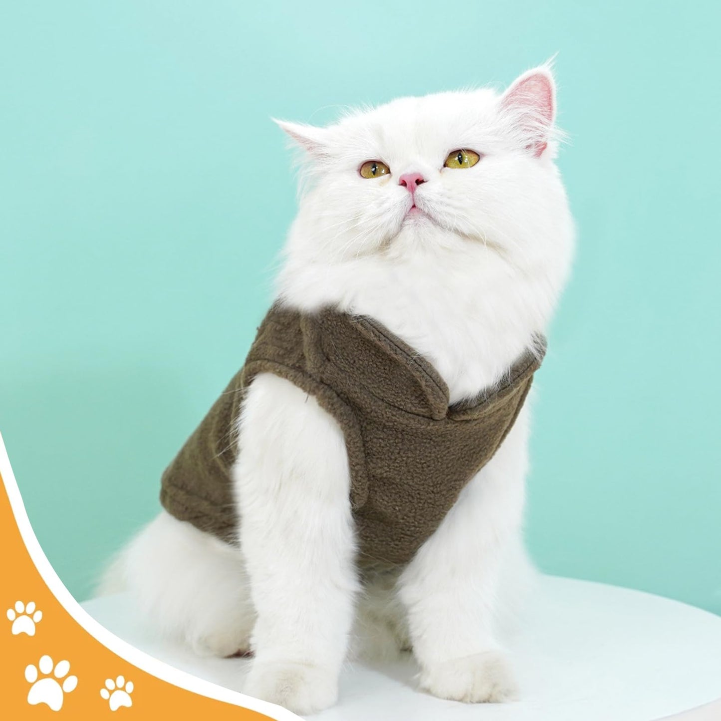 Abrigo 2 Piezas Perro pequeño, Ropa Cálida de Invierno, Ropa Perro con Anillo en D, para Perros y Gatos pequeños M (MarróN, Gris)