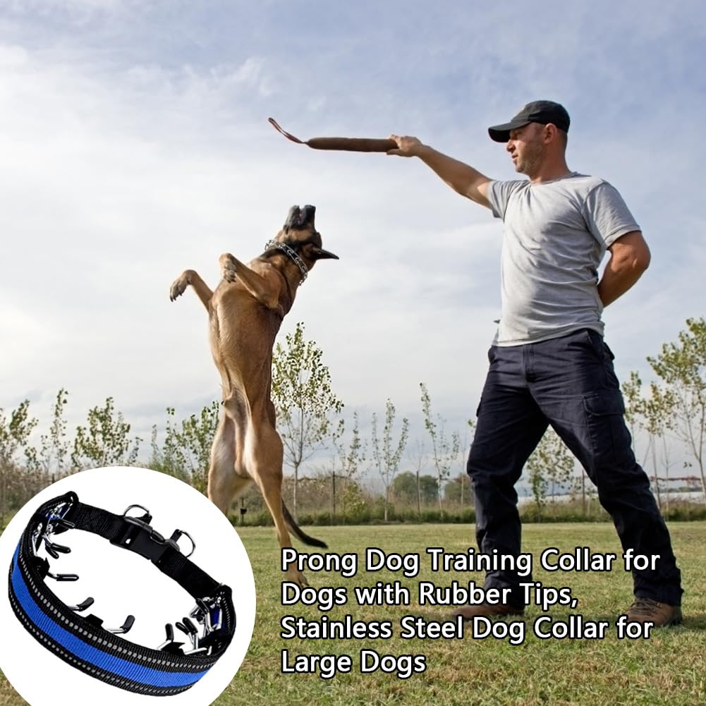 Collar Perro Reflectante Ajustable Collar Perros de Acolchado Neopreno Nylon para Caminar Correr Entrenamiento para Perros Pequeños Medianos Grandes