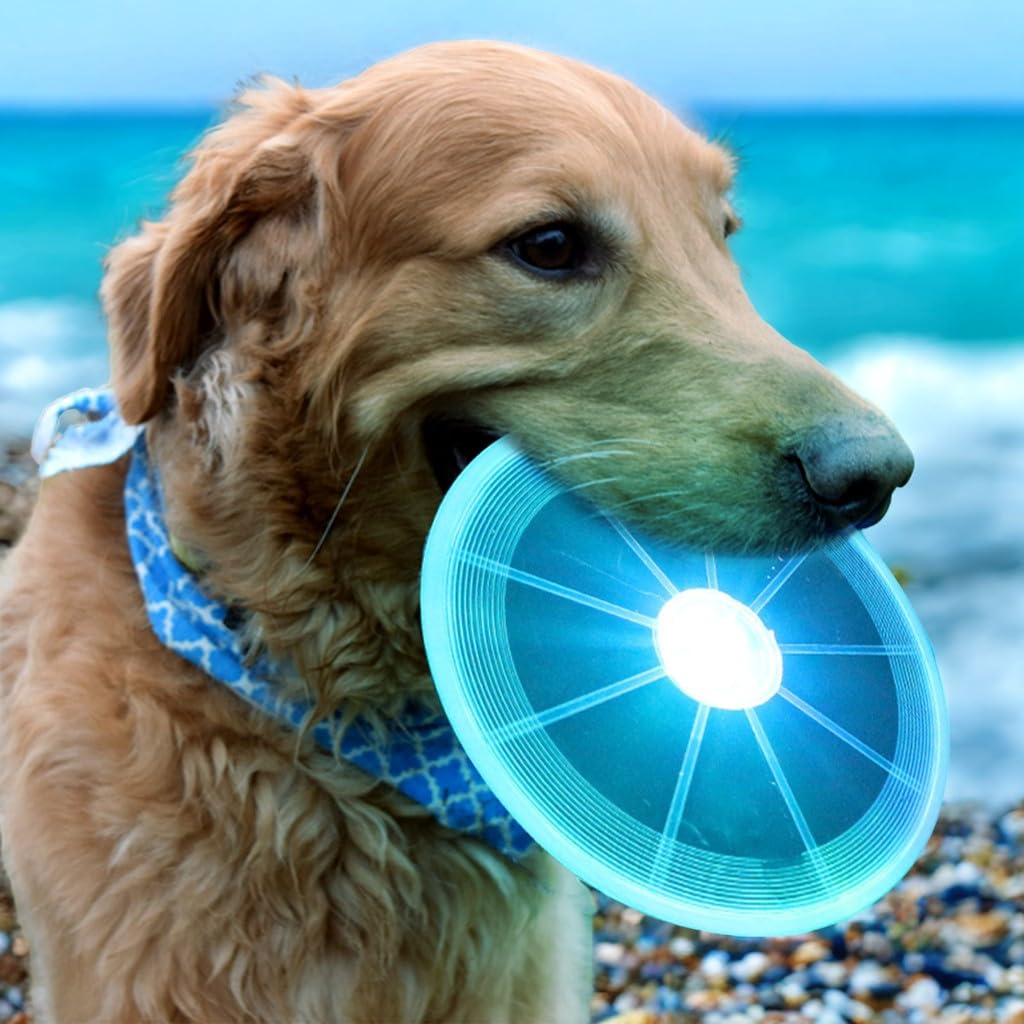 Frisbee Perro, Perros interactivos Frisbee, Juguete de Disco Volador para Perro, Frisbee para Mascotas, Frisbee Perro Goma, Frisbee Cachorro para Lanzar, Entrenar, Jugar, Atrapar