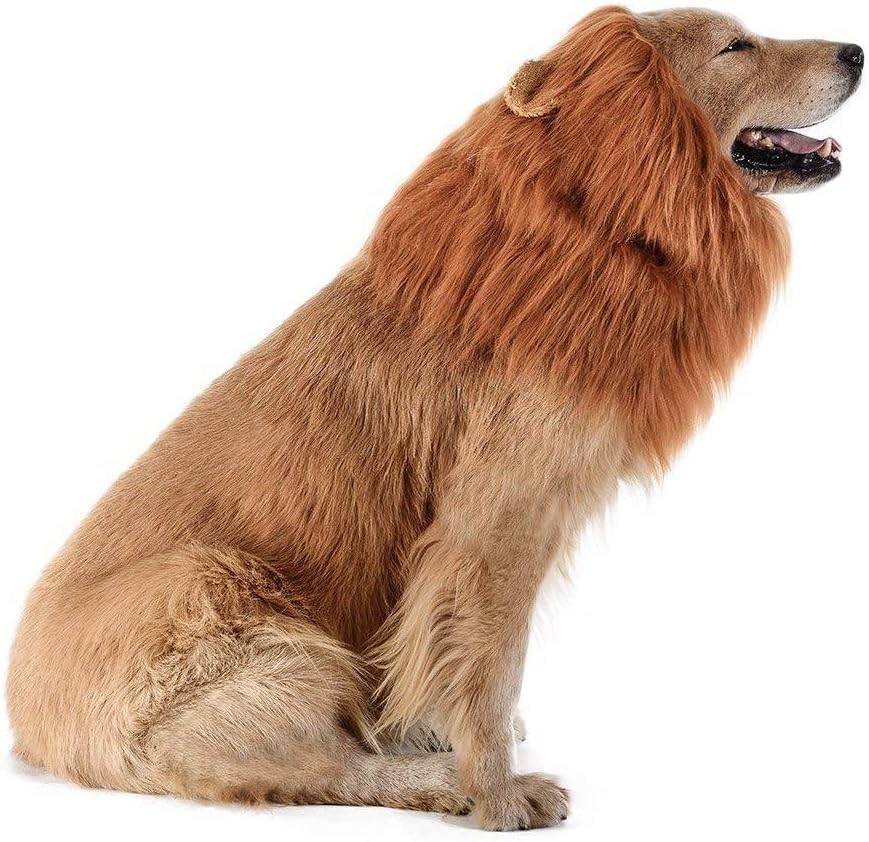 Disfraz Perro Halloween Y Carnaval. Disfraces para Perros Medianos O Grandes. Disfraz Mascota. Deja Que Tu Fiel Amigo Hechice El Carnaval.