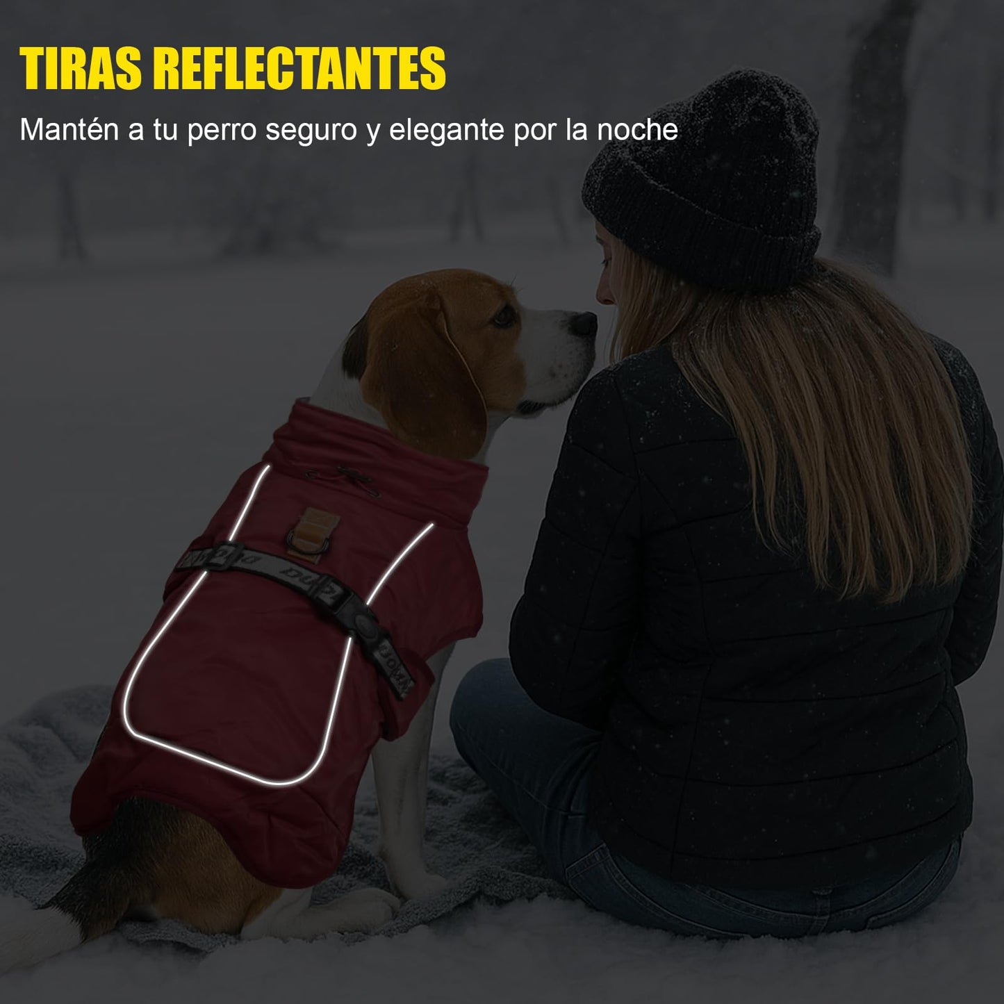 Abrigo de Invierno para Perros Chaqueta a Prueba de Viento Cálido para Perros Medianos Grandes Chaleco Reflectante Ajustable Perro Ropa al Aire Libre para Mascotas