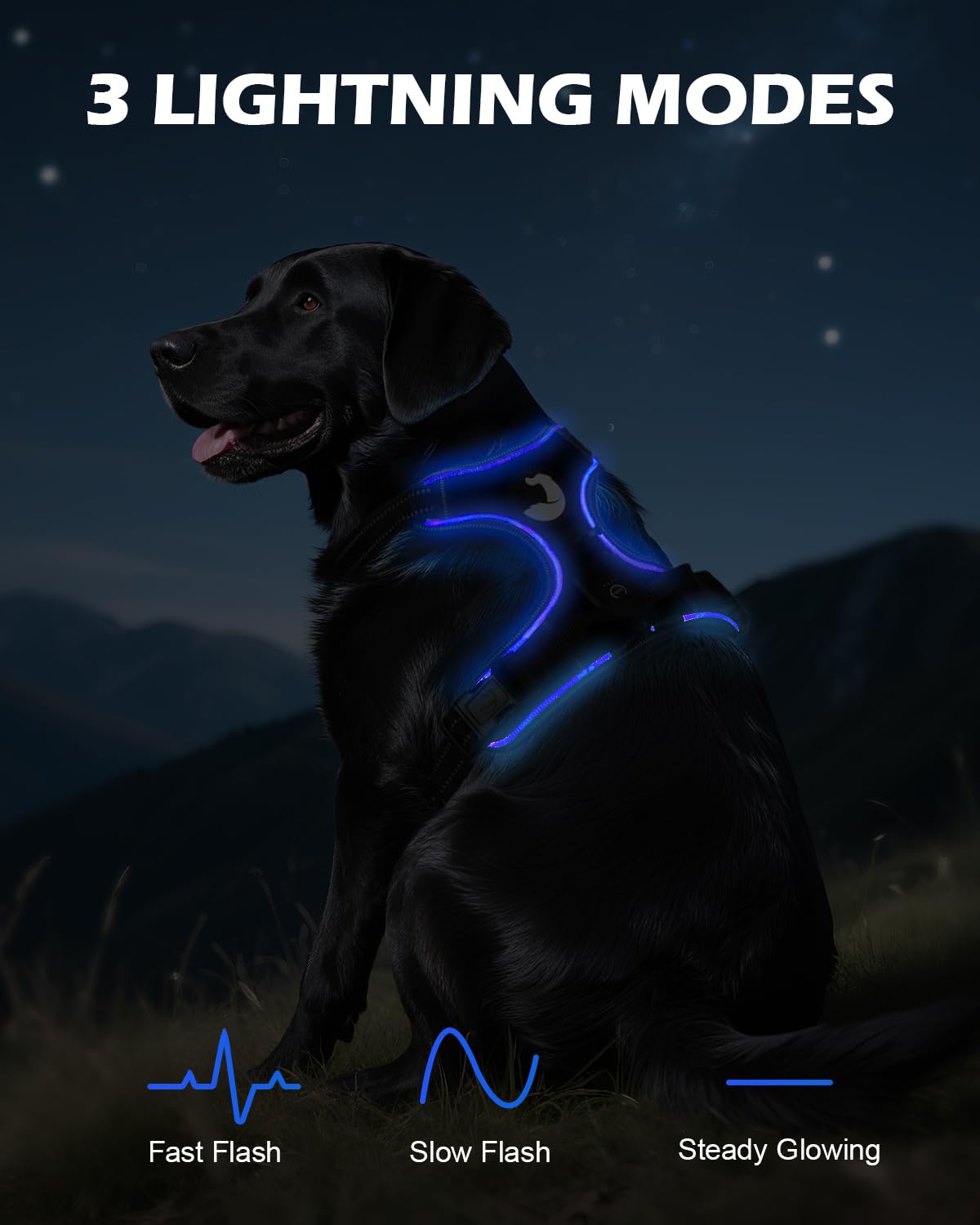 Arnés Luminoso Recargable para Pequeño Mediano y Grande, Arnés Reflectante LED sin Tirador con Asa Ajustable para Paseos Nocturnos, Negro-Azul, S