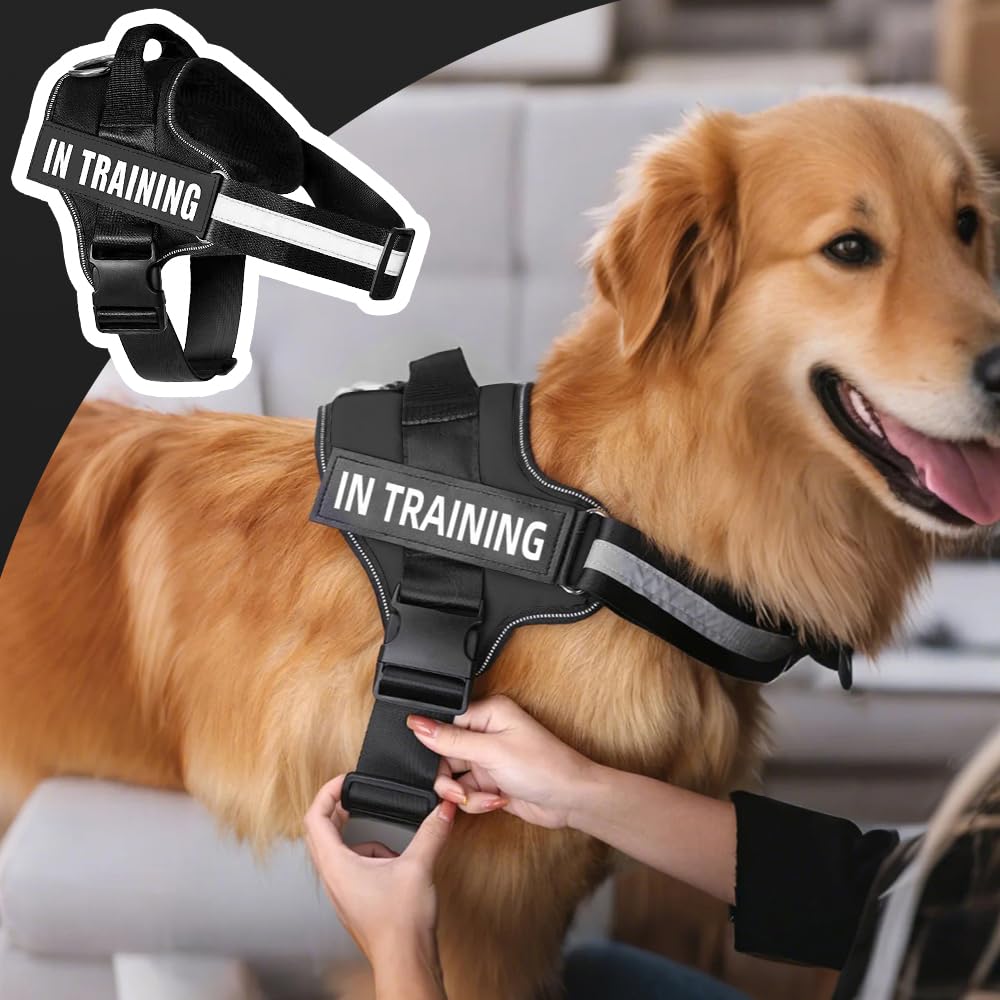 Arnes Perro Ajustable Noche Reflectante con Hebilla Frontal Arnés Antiescape Fácil de Poner Arnés Antitirones Perro Grande Mediano Pequeño Tamaño para Adiesreamiento Correr