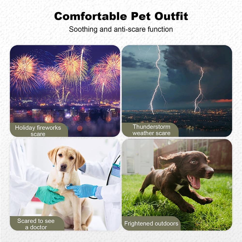 Abrigo para Perros Impermeable con Forro De Lana Chaqueta Reflectante De Invierno para Mascotas Ropa De Abrigo Cálida Y Cómoda para Perros Pequeños Y Medianos Verde Militar Talla M(M)