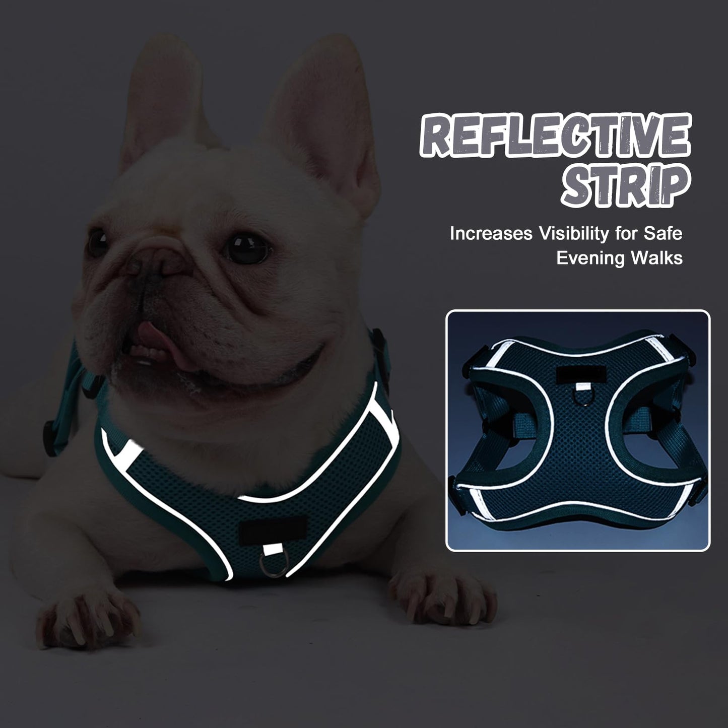 Arnés Perro y Conjunto de Correa, Arnés Reflectante & Antitirones para Perro, Chaleco Acolchado Cómodo y Ajustable para Perros, Ideal para Que tu Mascota Pasee & Capacitación (Negro, XS)