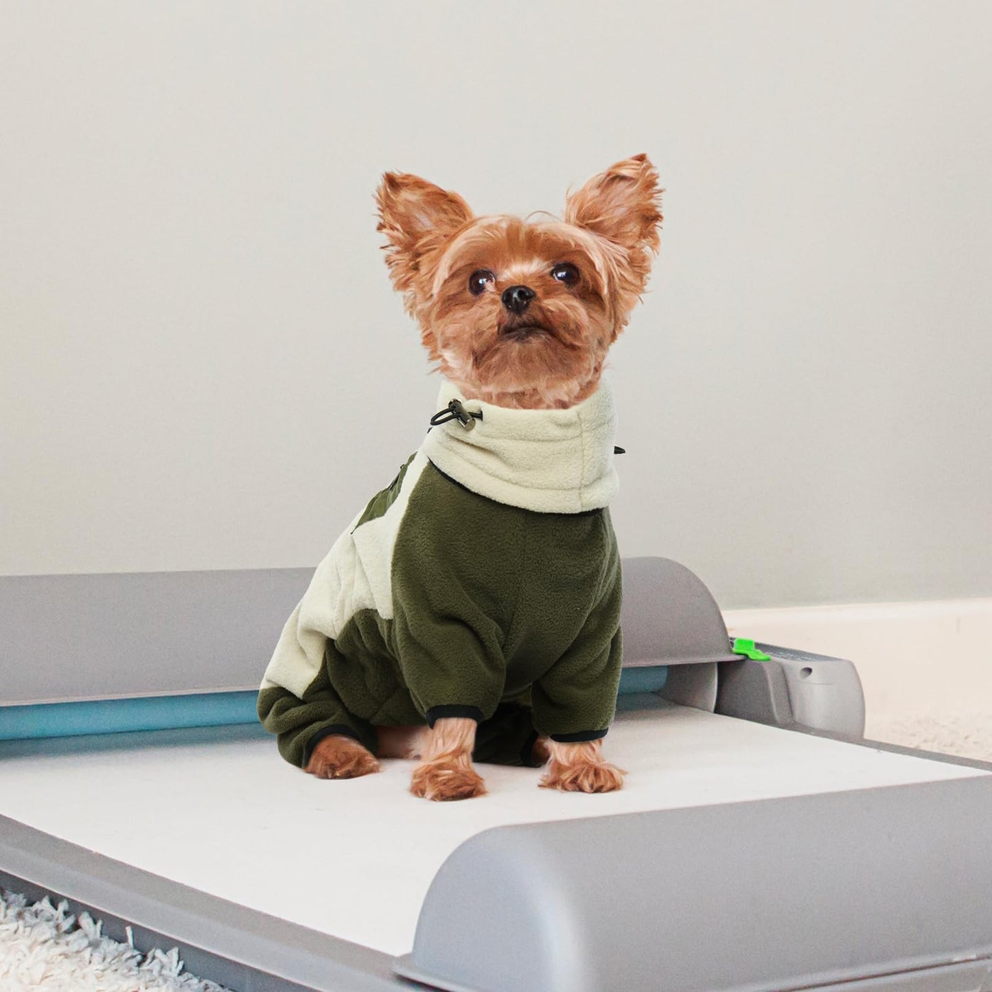 Abrigo Jerséis para Perros, Chaqueta Cálida Forro Polar Pijamas Perros Abrigos de Invierno Perros Pequeño Suéter Cálidos para Perros Pullover Cortavientos para Mascotas Interiores y Exteriores(Beige, L)
