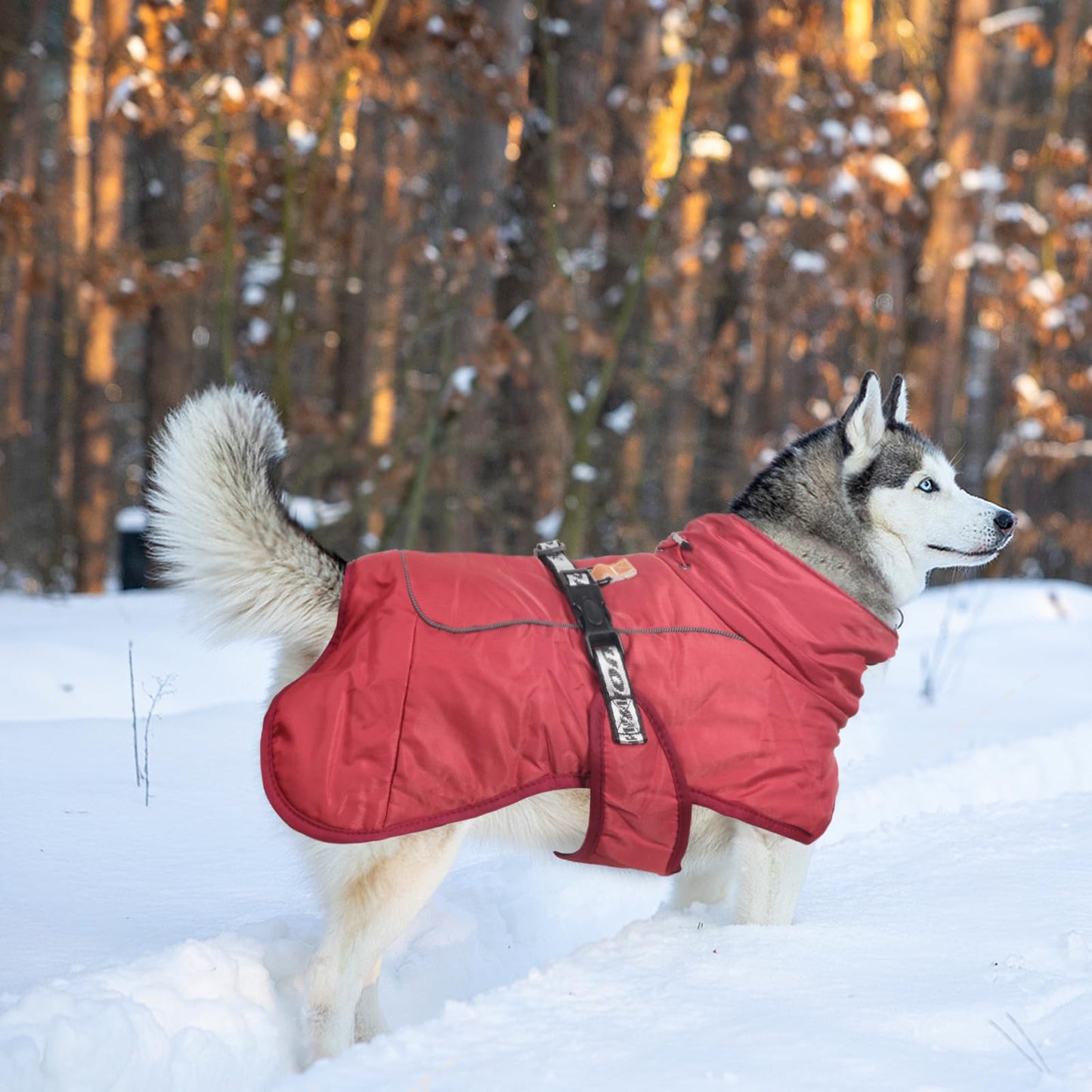 Abrigo de Invierno para Perros Chaqueta a Prueba de Viento Cálido para Perros Medianos Grandes Chaleco Reflectante Ajustable Perro Ropa al Aire Libre para Mascotas