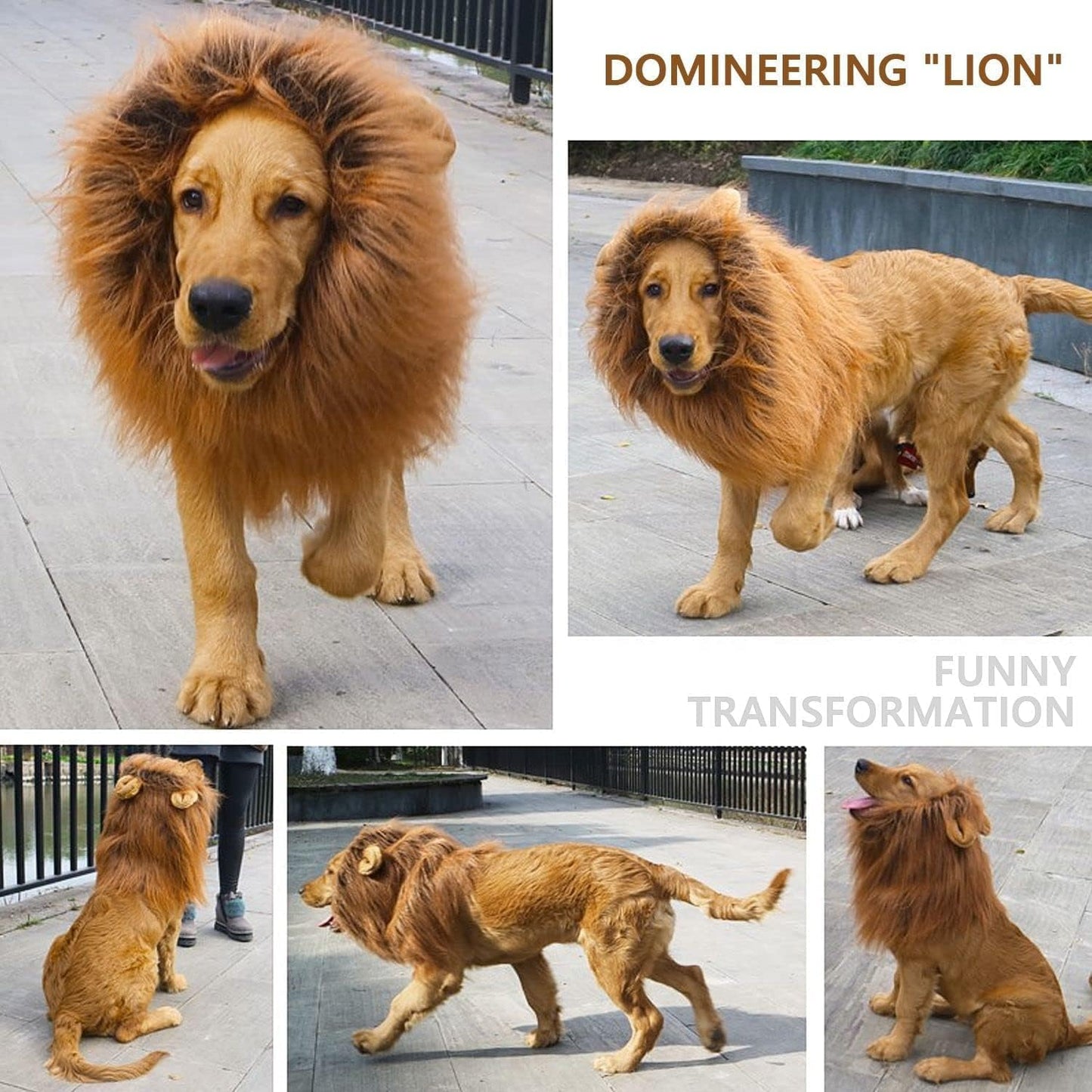 Disfraz Perro Halloween Y Carnaval. Disfraces para Perros Medianos O Grandes. Disfraz Mascota. Deja Que Tu Fiel Amigo Hechice El Carnaval.