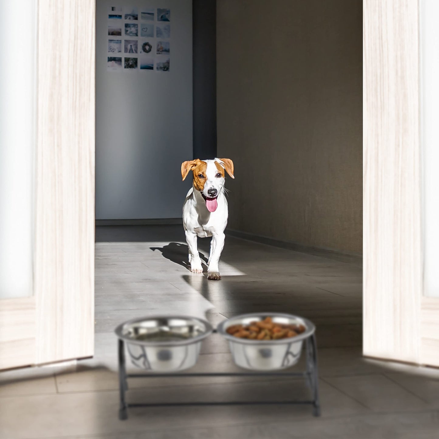 Relaxdays Set Comederos Perro con Soporte Elevado, Bebedero Mascota, 2 Cuencos Cachorro, Acero 300ml, Negro/Plateado