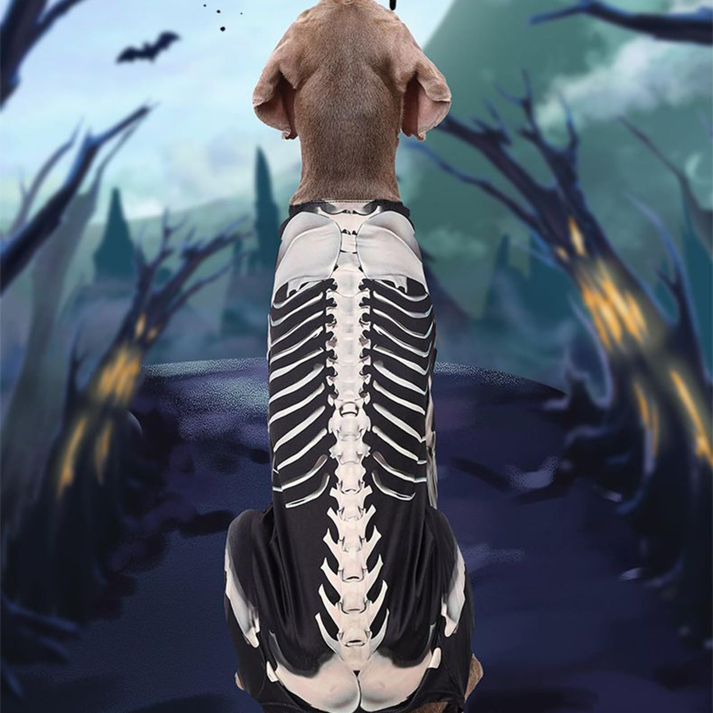 Disfraces De Halloween para Perros De Tamaño Grande,Disfraces De Esqueleto para Perros Halloween - Trajes Transpirables para Celebrar en Casa Fiestas Navideñas y Cosplay