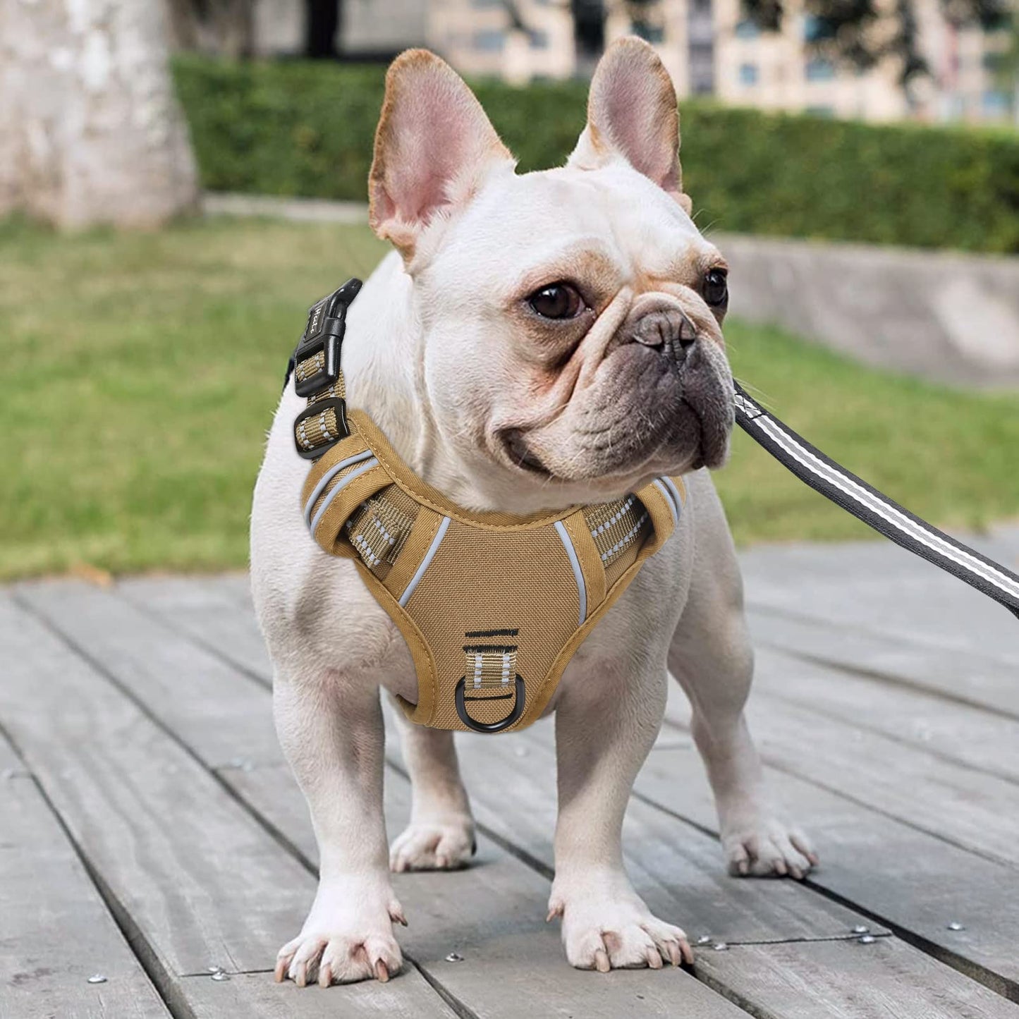 Arnes para Perro Arnes Anti Tirones Transpirable con Agarre Acolchado Arnés para Perros Reflectantes Ajustable Arnes Tipo Chaleco Acolchado Arnés para Perro Pequeños, Caqui, XS