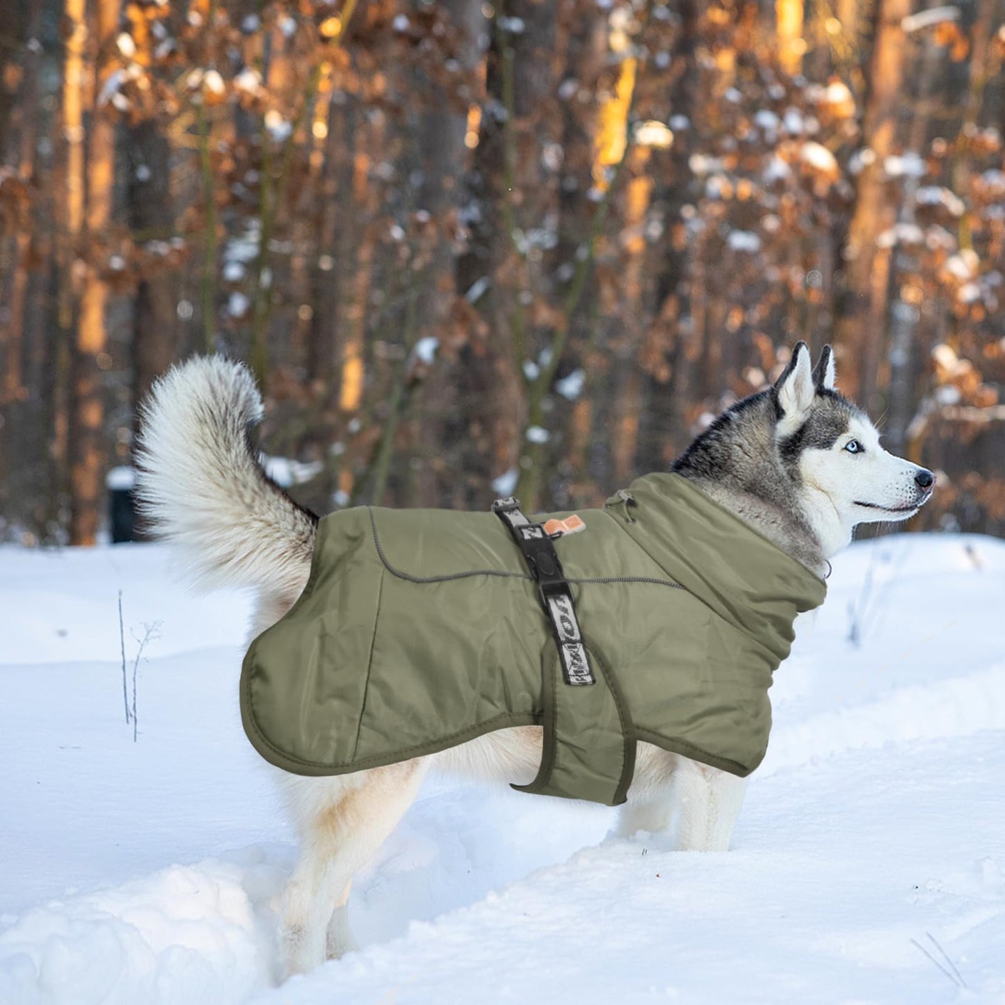Abrigo de Invierno para Perros Chaqueta a Prueba de Viento Cálido para Perros Medianos Grandes Chaleco Reflectante Ajustable Perro Ropa al Aire Libre para Mascotas